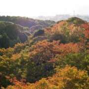 ヒメ日記 2025/10/21 09:21 投稿 かんな 熟女の風俗最終章 宇都宮店