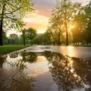 ヒメ日記 2025/10/25 09:31 投稿 かんな 熟女の風俗最終章 宇都宮店