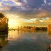 ヒメ日記 2025/11/08 09:21 投稿 かんな 熟女の風俗最終章 宇都宮店