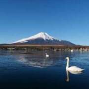 ヒメ日記 2025/11/19 09:43 投稿 かんな 熟女の風俗最終章 宇都宮店