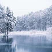 ヒメ日記 2025/12/15 21:32 投稿 かんな 熟女の風俗最終章 宇都宮店