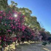 ヒメ日記 2026/02/02 09:41 投稿 かんな 熟女の風俗最終章 宇都宮店