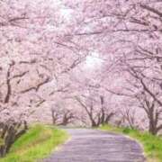 ヒメ日記 2026/04/02 09:41 投稿 かんな 熟女の風俗最終章 宇都宮店