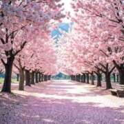 ヒメ日記 2026/04/07 09:31 投稿 かんな 熟女の風俗最終章 宇都宮店