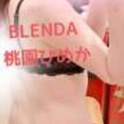 桃園　ひめか はぴはろ💖 クラブ　ブレンダ茨木・枚方店