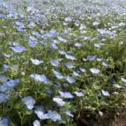 ヒメ日記 2025/05/08 10:08 投稿 神代りず 五反田はじめてのエステ