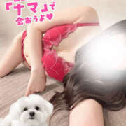 ヒメ日記 2025/07/03 20:17 投稿 ひめな ギャルズネットワーク大阪