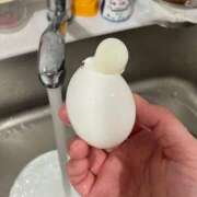 ヒメ日記 2025/06/10 11:36 投稿 ふるかわ牛ちゃん Funky Milky Baby（ファンキーミルキーベイビー）