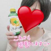 ヒメ日記 2025/05/27 12:15 投稿 いちか ミセス クリエーション