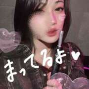 ヒメ日記 2025/04/29 13:23 投稿 ツバキ 姫路ラビット