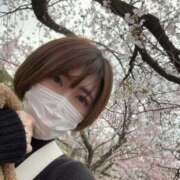 ヒメ日記 2026/04/06 10:30 投稿 うた 若妻LOVE