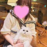 ヒメ日記 2025/11/02 14:13 投稿 めめ ナイスレディ