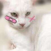 ヒメ日記 2026/02/22 17:22 投稿 りら/LILA　centu STYLISH BACH