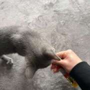 ヒメ日記 2026/04/20 14:18 投稿 りら/LILA　centu STYLISH BACH