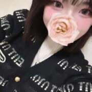 ヒメ日記 2025/04/24 12:24 投稿 よつば デザインプリズム新宿