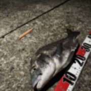 ヒメ日記 2025/06/06 13:55 投稿 なみ スピードエコ難波店