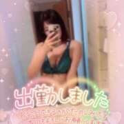 なみ なみ（エコ難波店） スピードエコ難波店