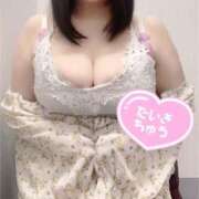 ヒメ日記 2025/04/29 18:22 投稿 さくらこ 白いぽっちゃりさん五反田店