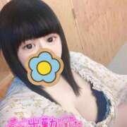 ヒメ日記 2025/06/10 15:17 投稿 さくらこ 白いぽっちゃりさん五反田店