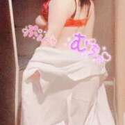 ヒメ日記 2025/07/16 20:29 投稿 さくらこ 白いぽっちゃりさん五反田店