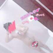 ヒメ日記 2025/08/20 21:09 投稿 さくらこ 白いぽっちゃりさん五反田店