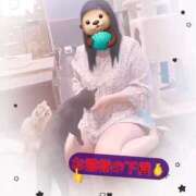 ヒメ日記 2025/09/18 17:09 投稿 さくらこ 白いぽっちゃりさん五反田店