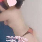 ヒメ日記 2025/09/30 20:49 投稿 さくらこ 白いぽっちゃりさん五反田店