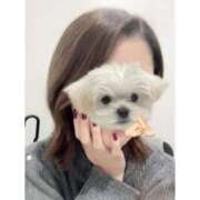 ヒメ日記 2025/10/31 14:03 投稿 うみ 手コキガールズコレクション