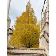 ヒメ日記 2025/11/26 18:53 投稿 うみ 手コキガールズコレクション