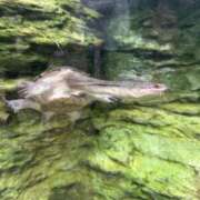 ヒメ日記 2025/12/12 14:33 投稿 うみ 手コキガールズコレクション