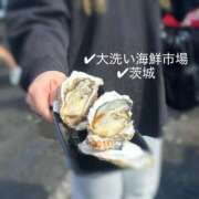 ヒメ日記 2026/02/22 16:03 投稿 うみ 手コキガールズコレクション