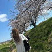 ヒメ日記 2026/04/06 15:53 投稿 うみ 手コキガールズコレクション