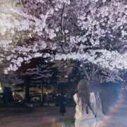 ヒメ日記 2026/04/07 12:23 投稿 うみ 手コキガールズコレクション