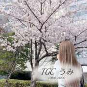 ヒメ日記 2026/04/08 07:13 投稿 うみ 手コキガールズコレクション