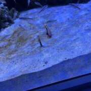 ヒメ日記 2025/04/30 08:35 投稿 りりな 丸妻 新横浜店