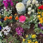 ヒメ日記 2025/04/23 20:42 投稿 甲本キキ(こうもときき) 五十路マダムエクスプレス厚木店(カサブランカグループ)