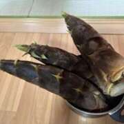 ヒメ日記 2025/05/01 20:40 投稿 甲本キキ(こうもときき) 五十路マダムエクスプレス厚木店(カサブランカグループ)