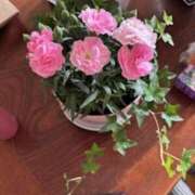 ヒメ日記 2025/05/11 22:32 投稿 甲本キキ(こうもときき) 五十路マダムエクスプレス厚木店(カサブランカグループ)