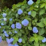 ヒメ日記 2025/06/05 19:34 投稿 甲本キキ(こうもときき) 五十路マダムエクスプレス厚木店(カサブランカグループ)