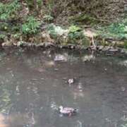 ヒメ日記 2025/06/06 18:32 投稿 甲本キキ(こうもときき) 五十路マダムエクスプレス厚木店(カサブランカグループ)