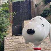 ヒメ日記 2025/06/12 13:58 投稿 甲本キキ(こうもときき) 五十路マダムエクスプレス厚木店(カサブランカグループ)