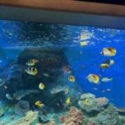 ヒメ日記 2025/06/28 20:28 投稿 甲本キキ(こうもときき) 五十路マダムエクスプレス厚木店(カサブランカグループ)