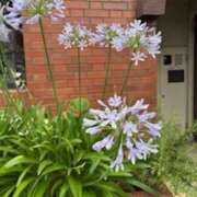 ヒメ日記 2025/07/03 20:32 投稿 甲本キキ(こうもときき) 五十路マダムエクスプレス厚木店(カサブランカグループ)