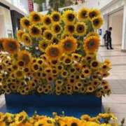 ヒメ日記 2025/07/06 18:38 投稿 甲本キキ(こうもときき) 五十路マダムエクスプレス厚木店(カサブランカグループ)