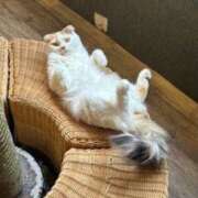 ヒメ日記 2025/08/14 19:48 投稿 甲本キキ(こうもときき) 五十路マダムエクスプレス厚木店(カサブランカグループ)