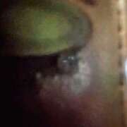 ヒメ日記 2025/09/08 20:34 投稿 甲本キキ(こうもときき) 五十路マダムエクスプレス厚木店(カサブランカグループ)