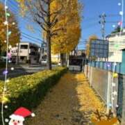 ヒメ日記 2025/12/02 20:38 投稿 甲本キキ(こうもときき) 五十路マダムエクスプレス厚木店(カサブランカグループ)