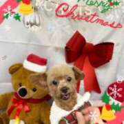 ヒメ日記 2025/12/05 13:10 投稿 甲本キキ(こうもときき) 五十路マダムエクスプレス厚木店(カサブランカグループ)