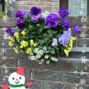 甲本キキ(こうもときき) お礼 五十路マダムエクスプレス厚木店(カサブランカグループ)