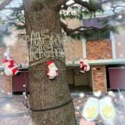 ヒメ日記 2025/12/19 09:38 投稿 甲本キキ(こうもときき) 五十路マダムエクスプレス厚木店(カサブランカグループ)